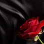 Image result for Red Rose On Black