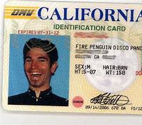 Image result for Driver's License Meme