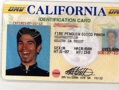 Image result for Funny Driver License