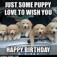 Image result for Happy Birthday Meme Cute Animals