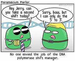 Image result for Corny DNA Biology Jokes