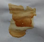 Image result for Tea Stain Photoshop Image