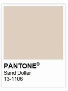 Image result for Pantone Color of the Year 2006