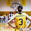 Image result for Basketball Leagues in America