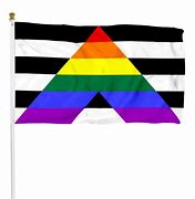 Image result for Straight Ally Flag Minecraft Banner