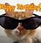 Image result for Happy Birthdaya Cat Meme