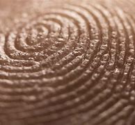 Image result for Unique Fingerprints