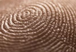 Image result for Fingerprint ID Set Up