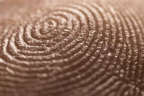 Image result for Find My Fingerprint