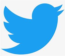 Image result for Twitter Bird Symbol