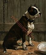 Image result for 1800s Dog Drawing