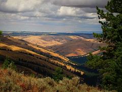 Image result for Blue Mountain Range Oregon