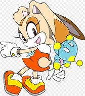 Image result for Sonic Advance Cream and Amy