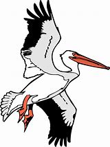 Image result for Pelican Black and White