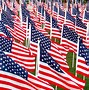 Image result for USA Flag Design