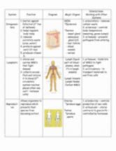 Image result for Human Body Systems Chart