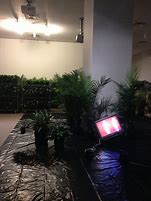 Image result for TV Console Side Plants