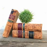 Image result for Antique Leather Bound Law Books