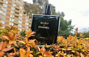 Image result for Bleu De Chanel Parfum