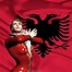 Image result for Albania Flag Eagle