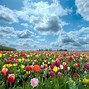 Image result for Home Garden with Wigt Background