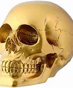 Image result for Gold Skull Head
