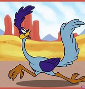 Image result for Road Runner Cartoon Character Running