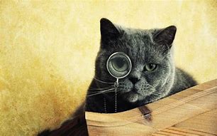 Image result for Cat with Monocle