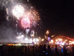 Image result for Electric Daisy Carnibal