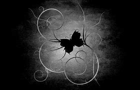 Image result for Black Background Butterfly Wallpaper