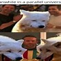 Image result for Cute Wolf Memes