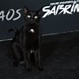 Image result for Sabrina Spellman Cat Salem
