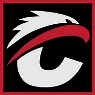 Image result for Comodo Gaming Net Worth