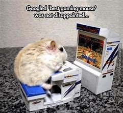 Image result for Gamer Mouse Meme