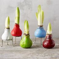 Image result for Flower Bulb Stand