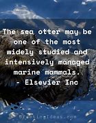 Image result for Otter Sayings