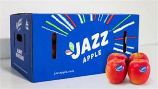 Image result for Apple Fruit Packaging