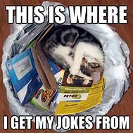 Image result for Discount Bin Funny