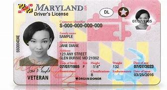 Image result for How Much Is a Maryland ID