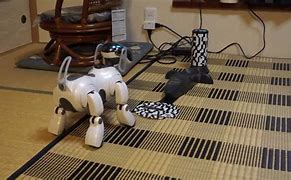 Image result for Aibo Charger Attatchment