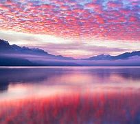 Image result for Hot Pink Nature