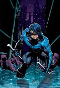 Image result for Nightwing Hero