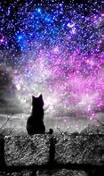 Image result for Pretty Galaxy Cat