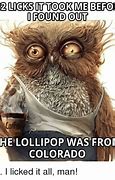 Image result for Owl Lollipop Meme