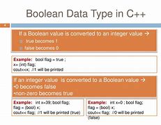 Image result for Boolean Data Type