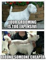 Image result for Funny Dog Grooming Memes