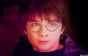 Image result for Harry Potter Glasses Case