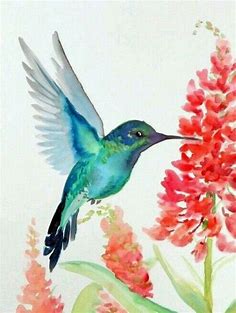 hummingbird watercolor in 2022 | Hummingbird painting, Watercolor hummingbird, Hummingbird art