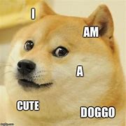 Image result for Doggo Memes Doge