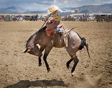 Image result for Rodeo Cowboys Pics